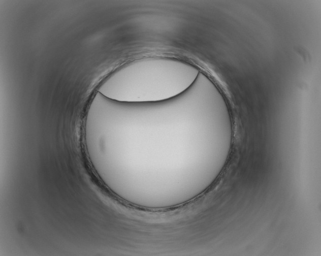 X0000114160010200910081143