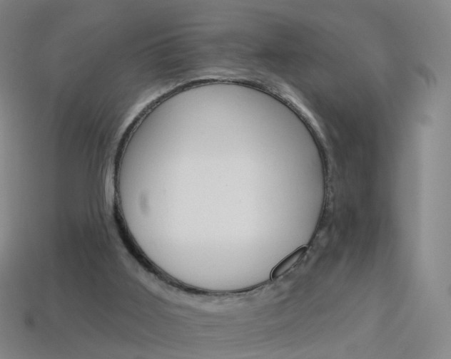 X0000114160011200910081143