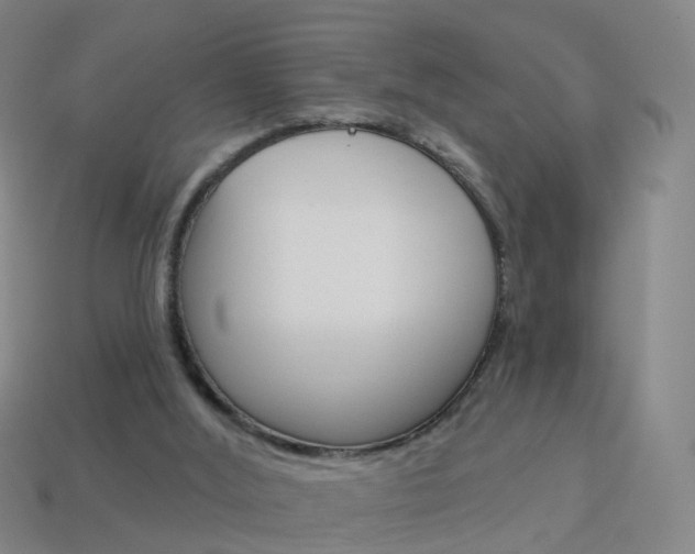 X0000114160012200910081143