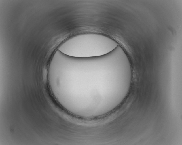 X0000114160014200910081143