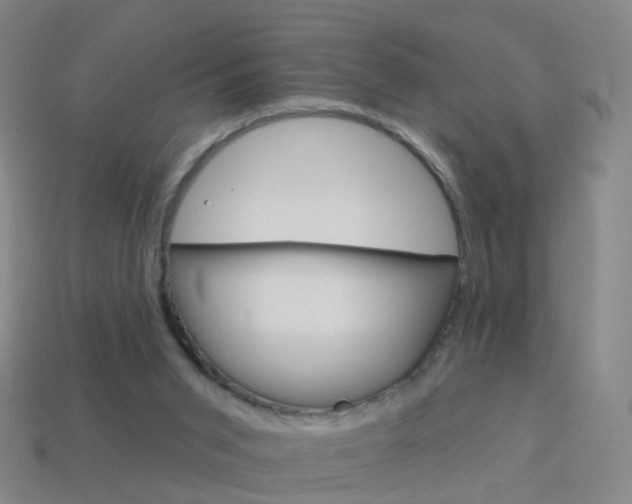 X0000114160015200910081143