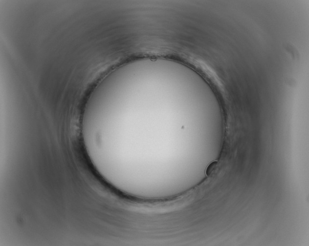 X0000114160017200910081143