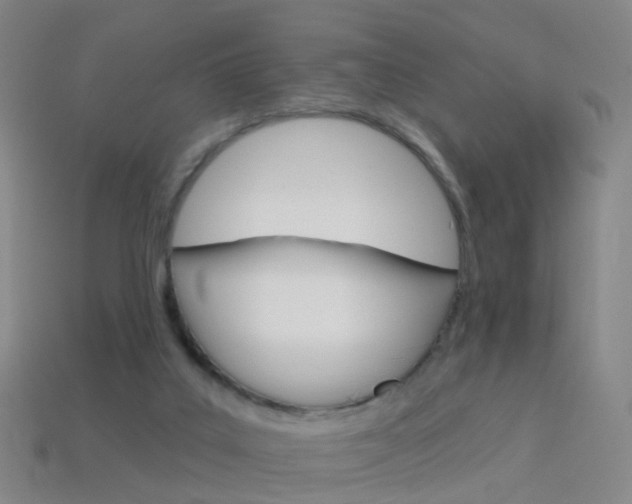 X0000114160019200910081143