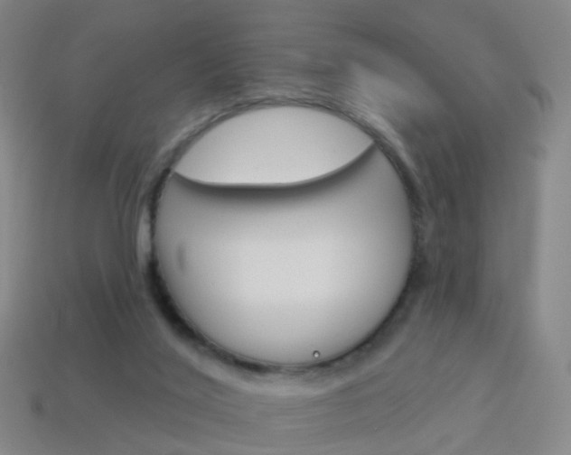 X0000114160020200910081143