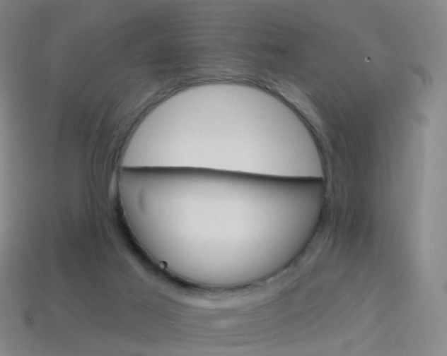 X0000114160021200910081143