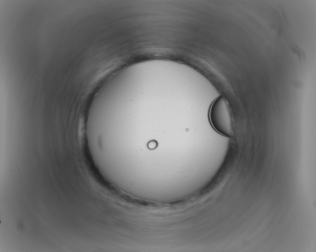 X0000114160024200910081143