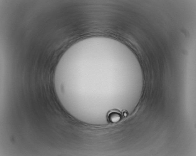 X0000114160029200910081143