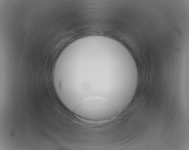 X0000114160035200910081142