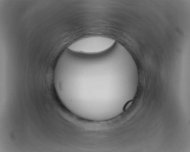 X0000114160036200910081142