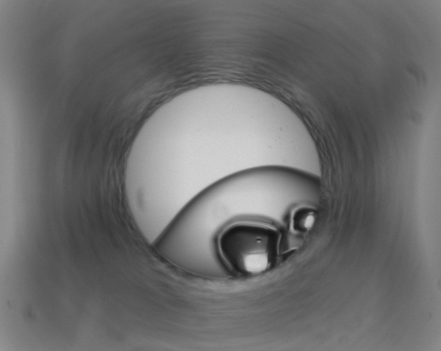 X0000114160037200910081142