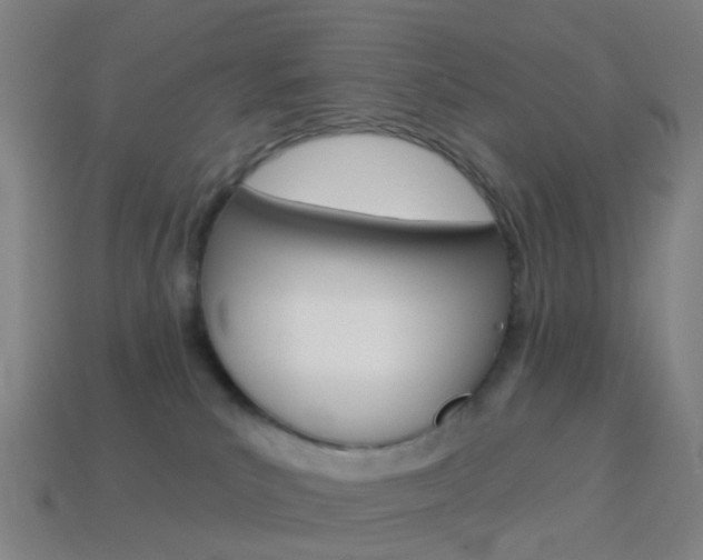 X0000114160039200910081142