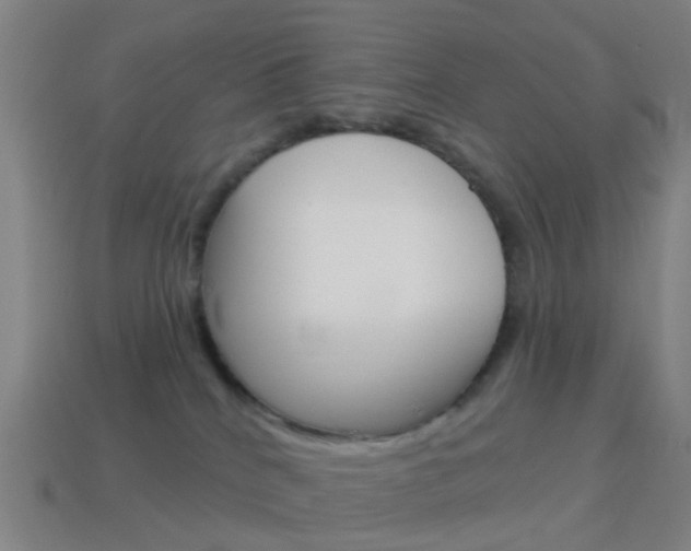 X0000114160040200910081142