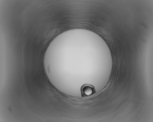 X0000114160041200910081142