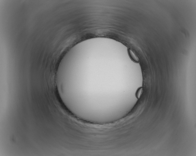 X0000114160044200910081142