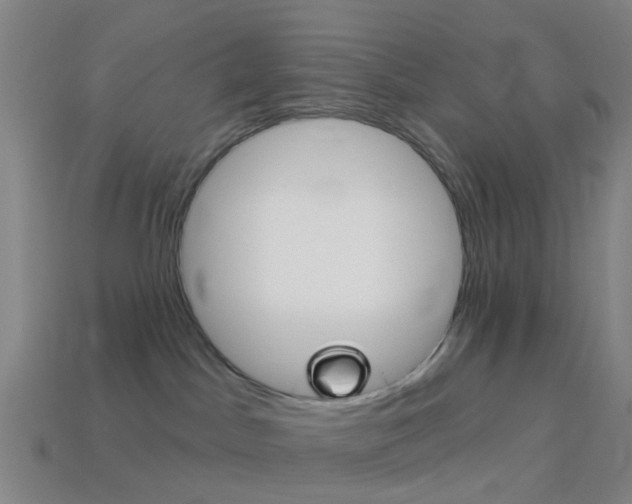 X0000114160045200910081142