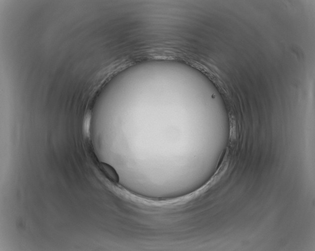 X0000114160047200910081142