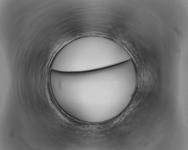 X0000114160049200910081141