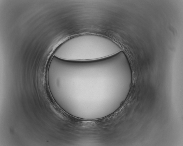 X0000114160050200910081142