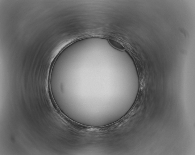 X0000114160052200910081142