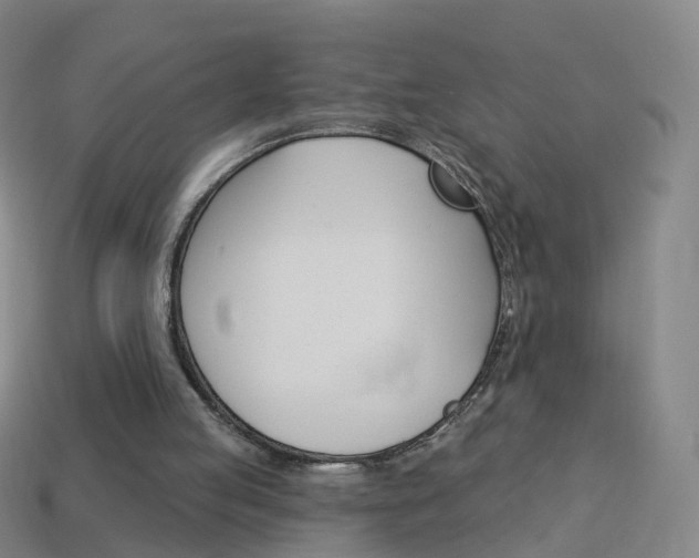 X0000114160053200910081142