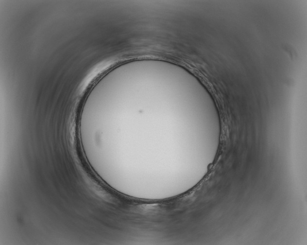 X0000114160054200910081142