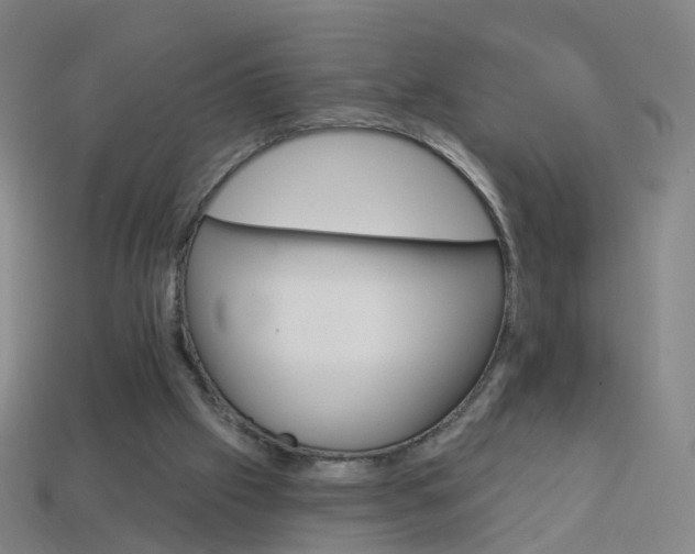 X0000114160057200910081142