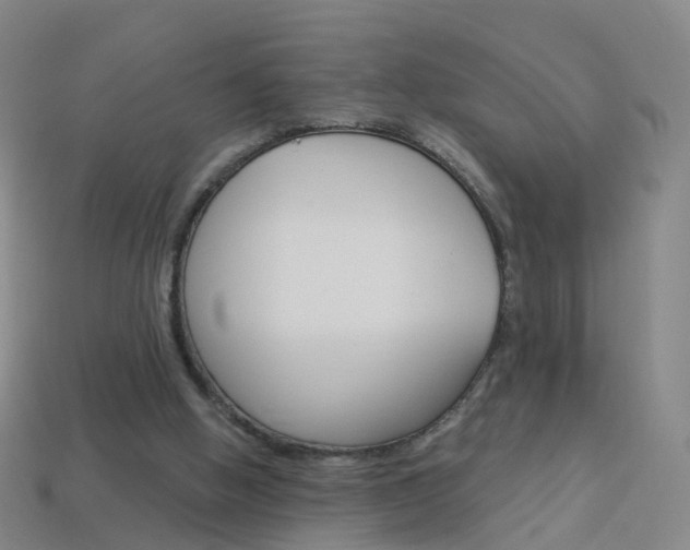 X0000114160058200910081142