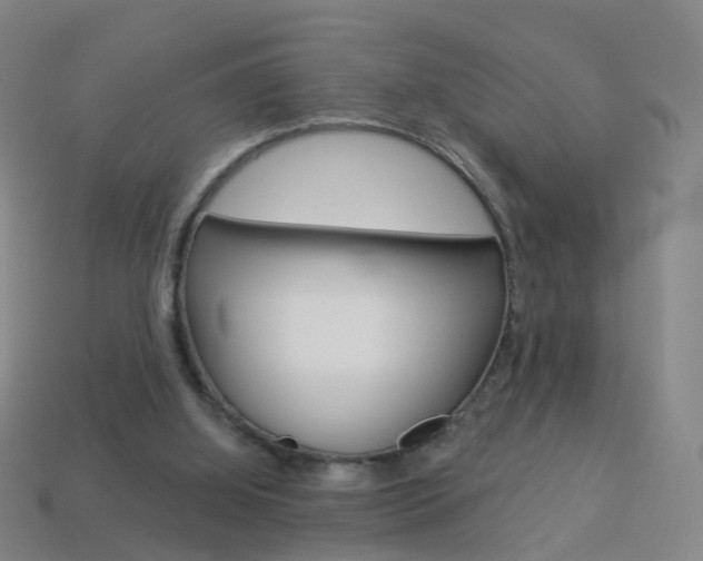 X0000114160060200910081142