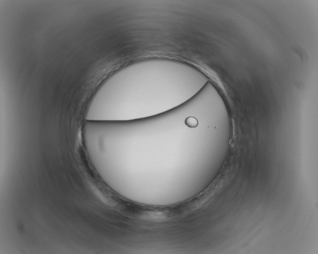 X0000114160061200910081142