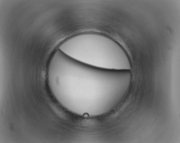 X0000114160063200910081142