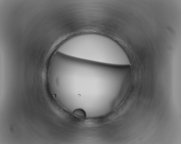 X0000114160064200910081142