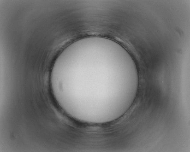 X0000114160066200910081142