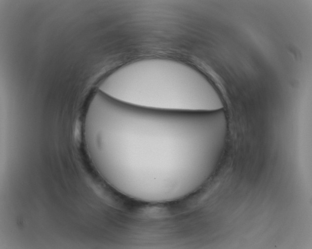 X0000114160067200910081142