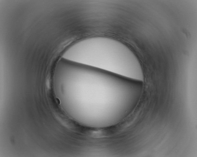 X0000114160068200910081142