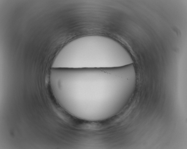 X0000114160069200910081142
