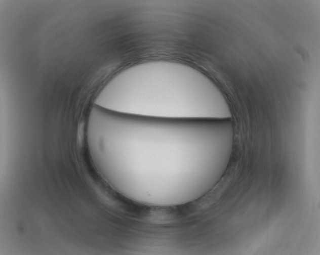 X0000114160070200910081142