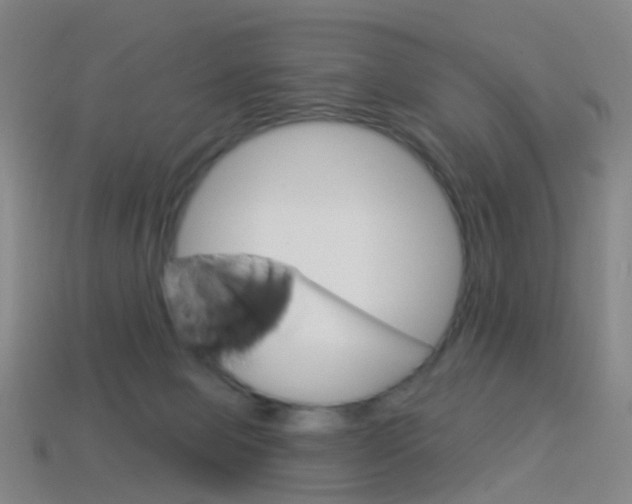 X0000114160077200910081142