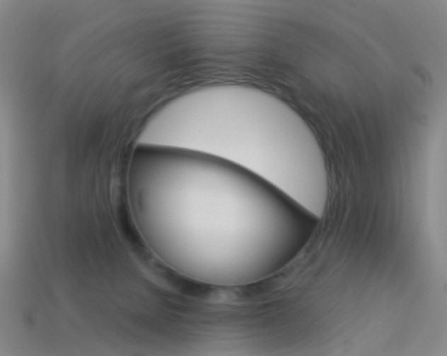 X0000114160080200910081142