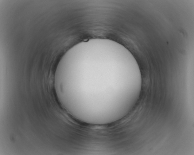X0000114160081200910081142