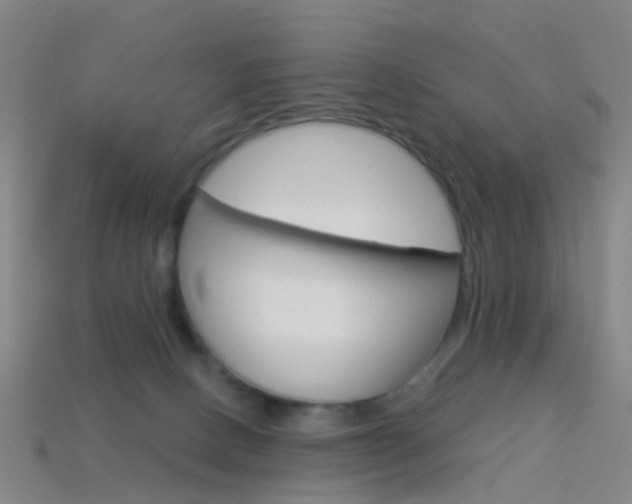 X0000114160082200910081142