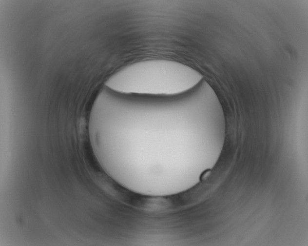 X0000114160087200910081142