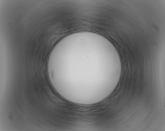 X0000114160088200910081142