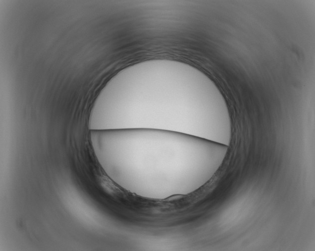 X0000114160095200910081142