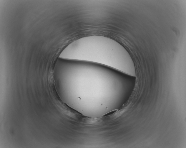 X0000114160096200910081142