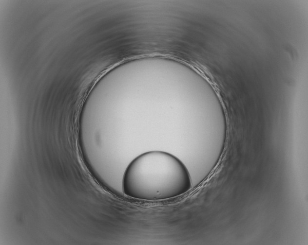 X0000114160097200910081141