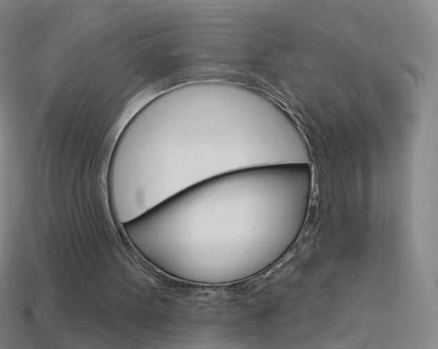 X0000114160099200910081141