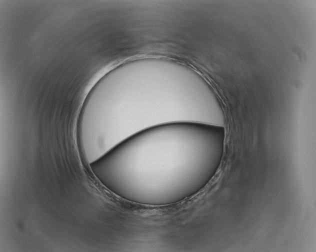 X0000114160100200910081141