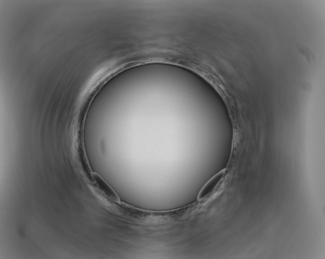 X0000114160101200910081141
