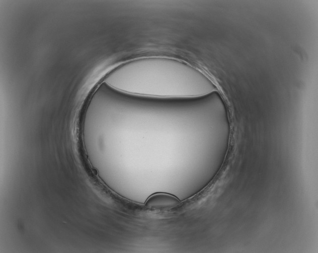 X0000114160103200910081141