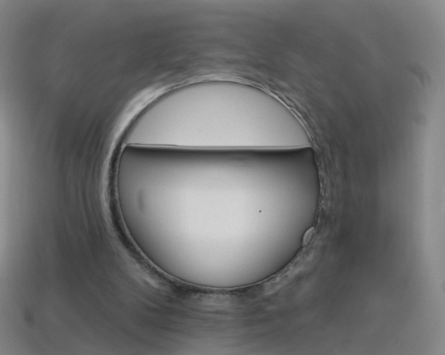 X0000114160104200910081141